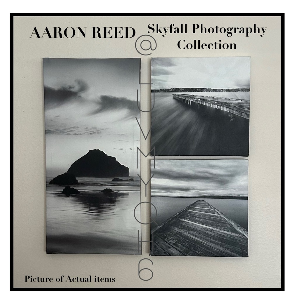 AARON REED 3 PC CANVAS SET